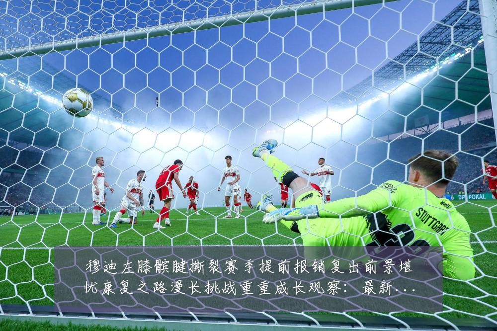 穆迪左膝髌腱撕裂赛季提前报销复出前景堪忧康复之路漫长挑战重重成长观察:最新赛事动态与深度分析